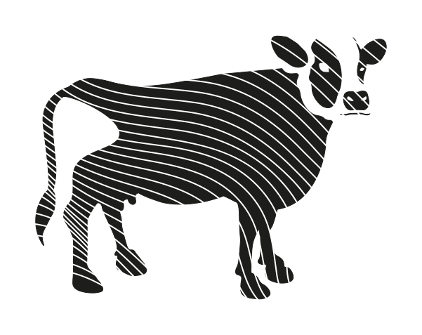 Studio illustrazione — mucca